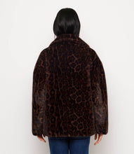 Load image into Gallery viewer, A person viewed from the back wearing a dark brown and black leopard-print faux fur jacket, paired with blue jeans, against a plain white background.