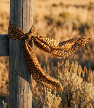 Load image into Gallery viewer, A leopard print scarf tied around a weathered wooden post in an outdoor field at golden hour.
