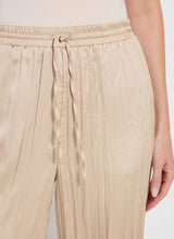 Load image into Gallery viewer, Designed with the modern traveler in mind, the Packable Pleated Palazzo Pant by Lysse blends effortless elegance with functional versatility. Made from silky Soft Touch Satin, these wide-leg trousers feature permanent pleats, an adjustable drawstring waist, and functional side pockets for a flattering yet practical silhouette. The raw-cut hem allows for easy alterations, while the 28-inch inseam makes them ideal for showcasing your favorite sandals or heels.
